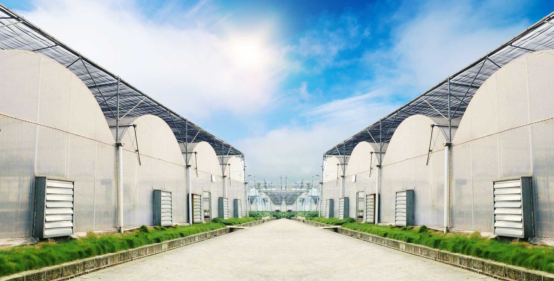 玻璃連棟溫室